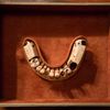 The Strange Story Of George Washington's Dentures & How They Ended Up In NYC